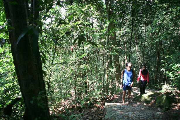 Bukit-Timah-Nature-Reserve-1